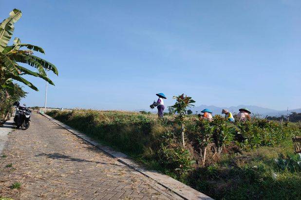 Tanah Torongrejo View Alam Akses Mudah Di Kota Batu
