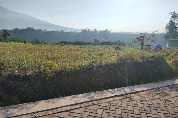 Tanah Torongrejo View Alam Akses Mudah Di Kota Batu