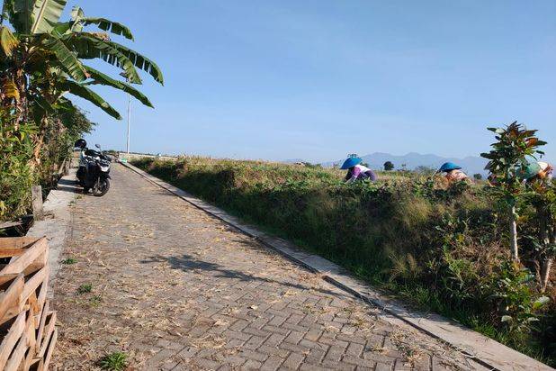 Tanah Torongrejo View Alam Akses Mudah Di Kota Batu