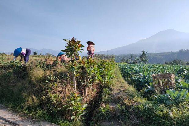 Tanah Torongrejo View Alam Akses Mudah Di Kota Batu