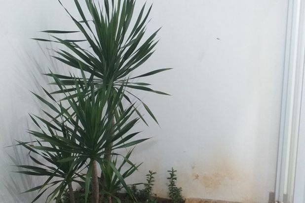 DI JUAL HUNIAN MEWAH MINIMALIS DI VIDA DURIAN ASRI,MUSTIKAJAYA,BEKASI TIMUR