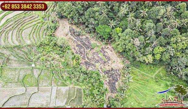 3,200 m2 Tanah Kering area Penebel Dijual Murah