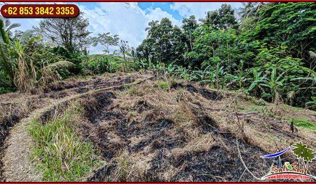3,200 m2 Tanah Kering area Penebel Dijual Murah
