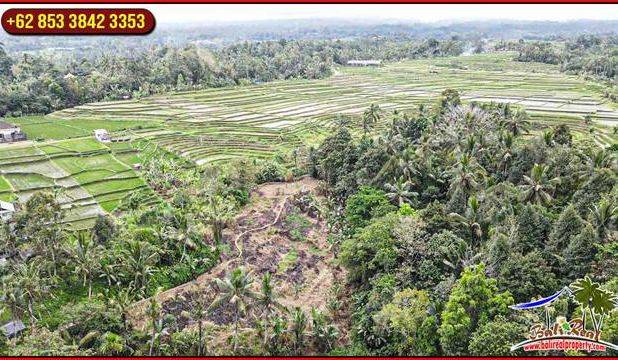 3,200 m2 Tanah Kering area Penebel Dijual Murah
