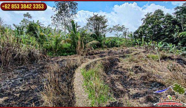 3,200 m2 Tanah Kering area Penebel Dijual Murah