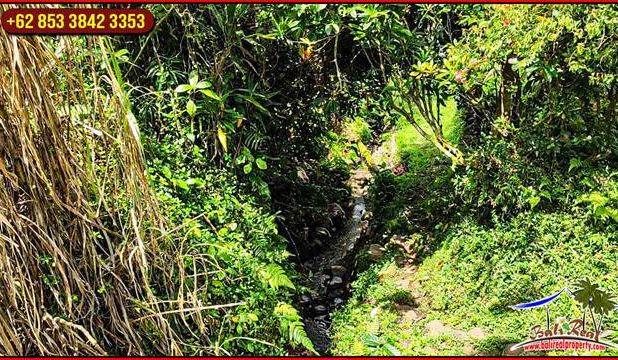 3,200 m2 Tanah Kering area Penebel Dijual Murah