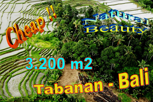 3,200 m2 Tanah Kering area Penebel Dijual Murah