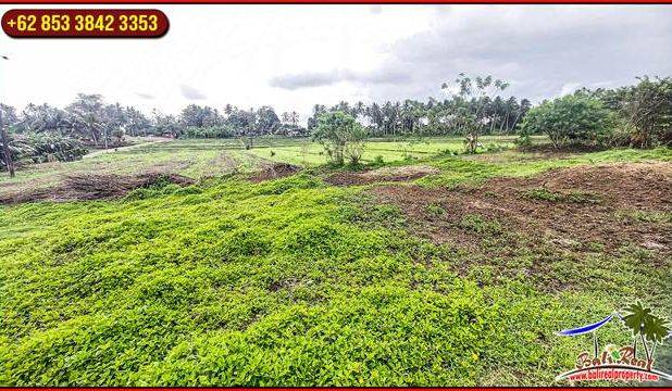 Dijual 5,000 m2 Pinggir Jalan Aspal di Tabanan