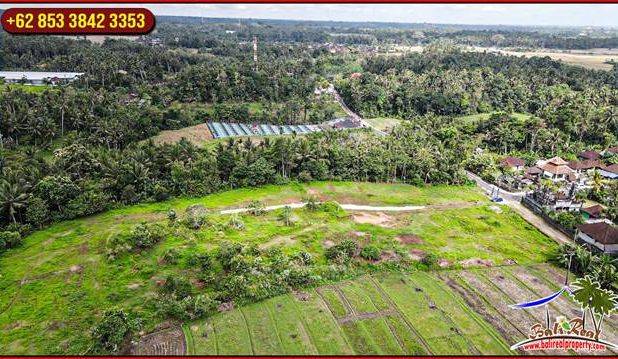 Dijual 5,000 m2 Pinggir Jalan Aspal di Tabanan