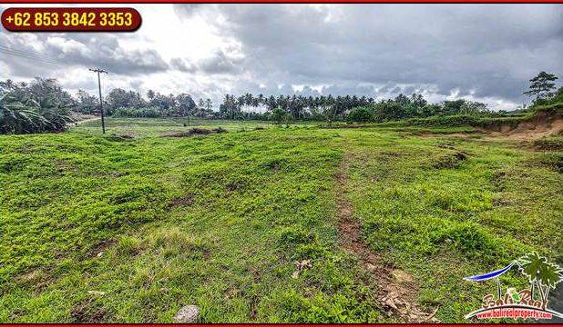 Dijual 5,000 m2 Pinggir Jalan Aspal di Tabanan
