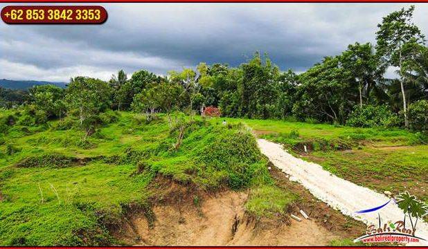 Dijual 5,000 m2 Pinggir Jalan Aspal di Tabanan