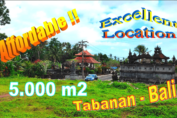 Dijual 5,000 m2 Pinggir Jalan Aspal di Tabanan