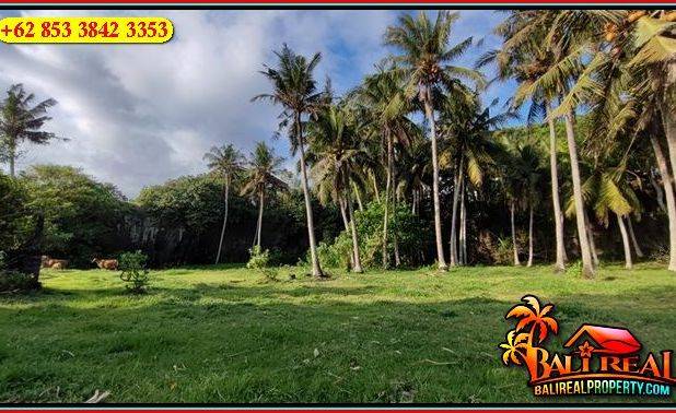 Beachfront 4,500 m2 Tanah Datar 2 Tingkat