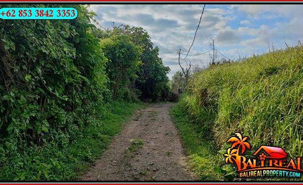 Beachfront 4,500 m2 Tanah Datar 2 Tingkat