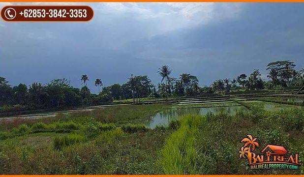 3,600 m2 Lokasi 15 menit menuju Sentral Ubud