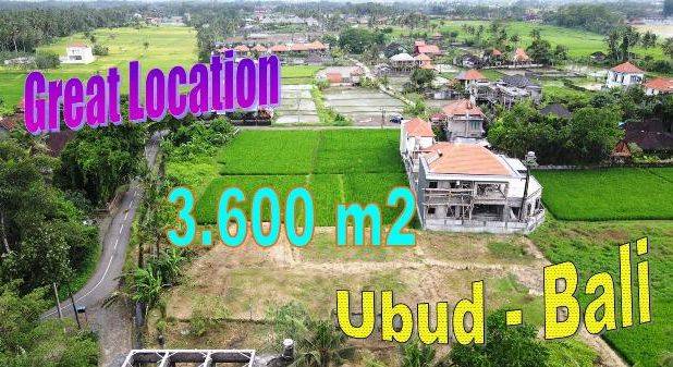 3,600 m2 Lokasi 15 menit menuju Sentral Ubud