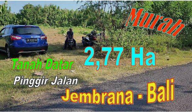 Langka, Luas 277 are Kebun Datar Pinggir Jalan