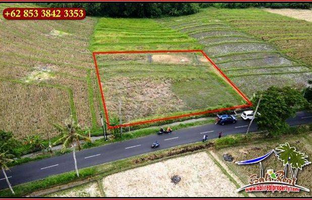 10 Are Akses Jalan Hotmix Tanah Sawah area Pererenan Canggu