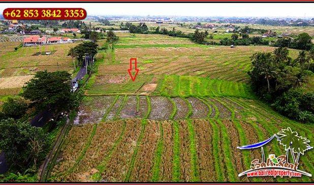 10 Are Akses Jalan Hotmix Tanah Sawah area Pererenan Canggu