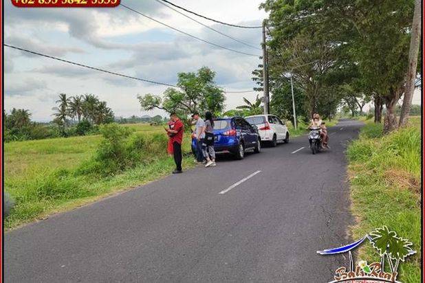 10 Are Akses Jalan Hotmix Tanah Sawah area Pererenan Canggu