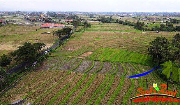 10 Are Akses Jalan Hotmix Tanah Sawah area Pererenan Canggu