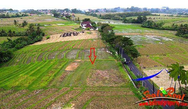 10 Are Akses Jalan Hotmix Tanah Sawah area Pererenan Canggu