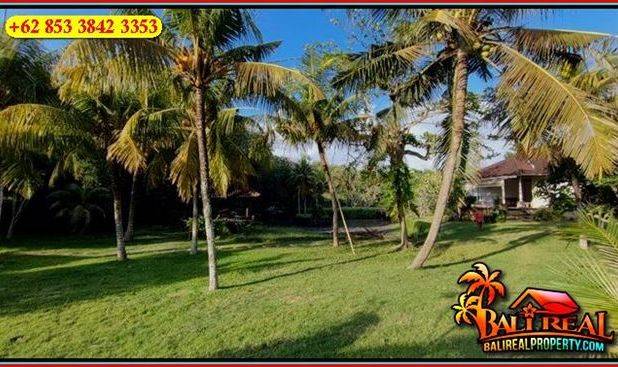 Tanah dengan Villa Dijual Murah 28 Are di Selemadeg Timur