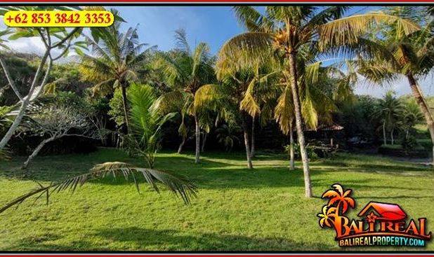 Tanah dengan Villa Dijual Murah 28 Are di Selemadeg Timur