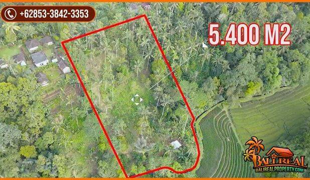 54 Are Kontur Datar Landai area Pupuan Akses Jalan Beton