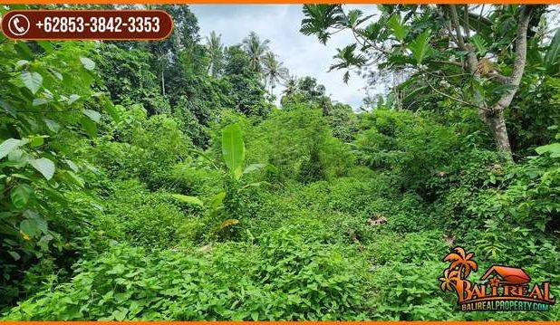 View Hutan Tepi Sungai 3,400 m2 di Tabanan area Sudimara