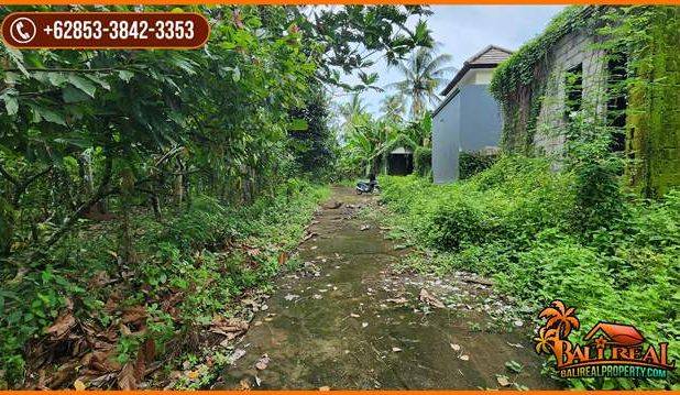 View Hutan Tepi Sungai 3,400 m2 di Tabanan area Sudimara