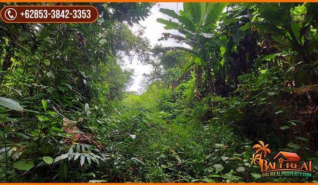 View Hutan Tepi Sungai 3,400 m2 di Tabanan area Sudimara
