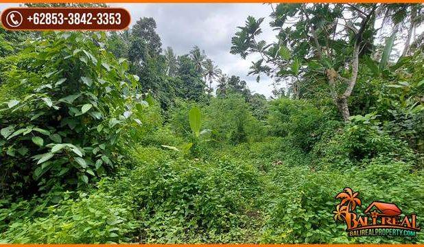 View Hutan Tepi Sungai 3,400 m2 di Tabanan area Sudimara
