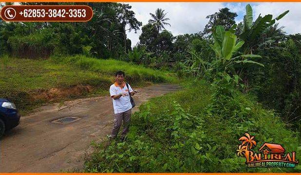 40 Are Tanah Kebun Akses Pinggir Jalan Marga Tabanan Dijual Murah