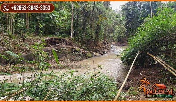 40 Are Tanah Kebun Akses Pinggir Jalan Marga Tabanan Dijual Murah