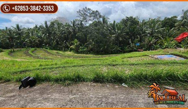 Strategis 25 Are View Cantik Alami Kontur Dominan Datar