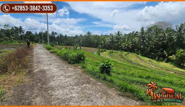 Strategis 25 Are View Cantik Alami Kontur Dominan Datar