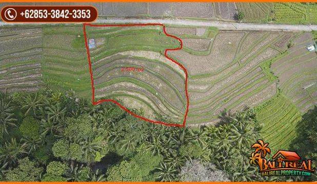 Strategis 25 Are View Cantik Alami Kontur Dominan Datar