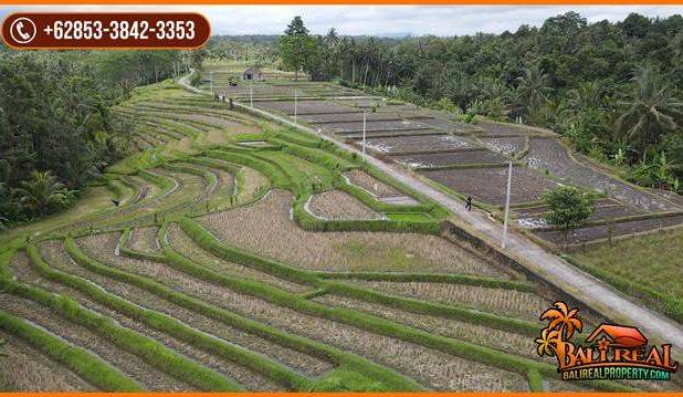 Strategis 25 Are View Cantik Alami Kontur Dominan Datar