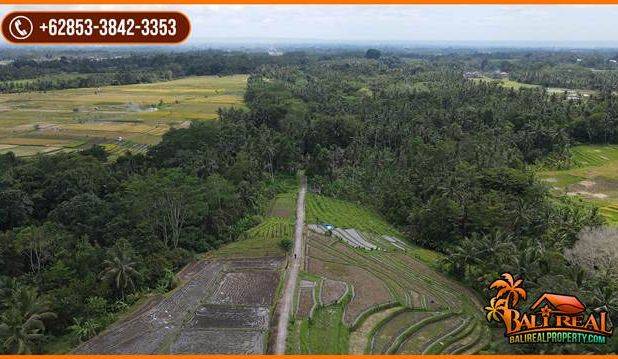 Strategis 25 Are View Cantik Alami Kontur Dominan Datar