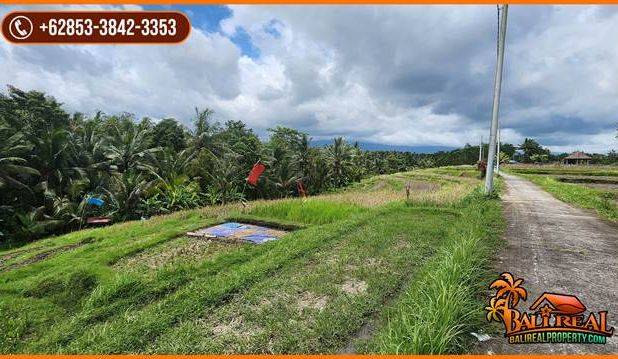 Strategis 25 Are View Cantik Alami Kontur Dominan Datar