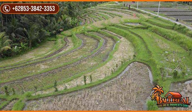 Strategis 25 Are View Cantik Alami Kontur Dominan Datar