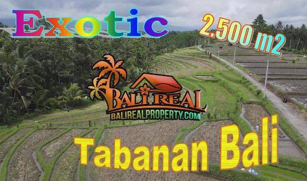 Strategis 25 Are View Cantik Alami Kontur Dominan Datar