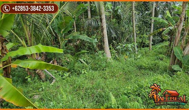 22 Are Tanah Kebun Dijual Murah area Tunjuk Marga Tabanan