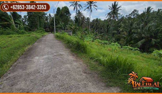 22 Are Tanah Kebun Dijual Murah area Tunjuk Marga Tabanan