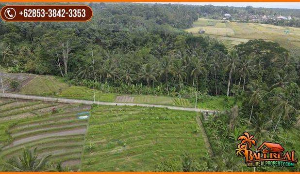 22 Are Tanah Kebun Dijual Murah area Tunjuk Marga Tabanan