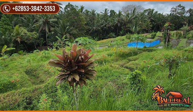 22 Are Tanah Kebun Dijual Murah area Tunjuk Marga Tabanan