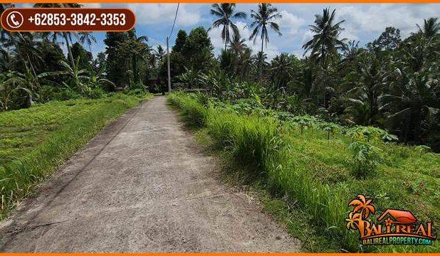 22 Are Tanah Kebun Dijual Murah area Tunjuk Marga Tabanan