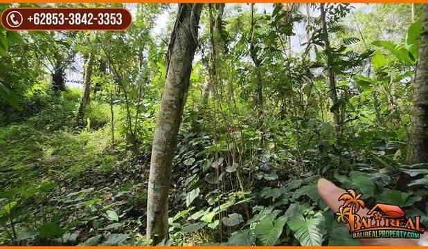 22 Are Tanah Kebun Dijual Murah area Tunjuk Marga Tabanan