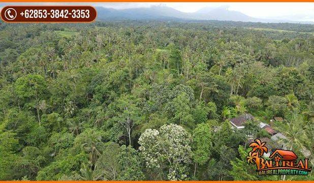 Ada Air Terjun Luas 11,000 m2 di Penebel Tabanan